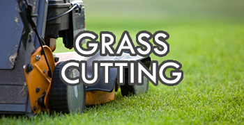 grass cutting service buffalo